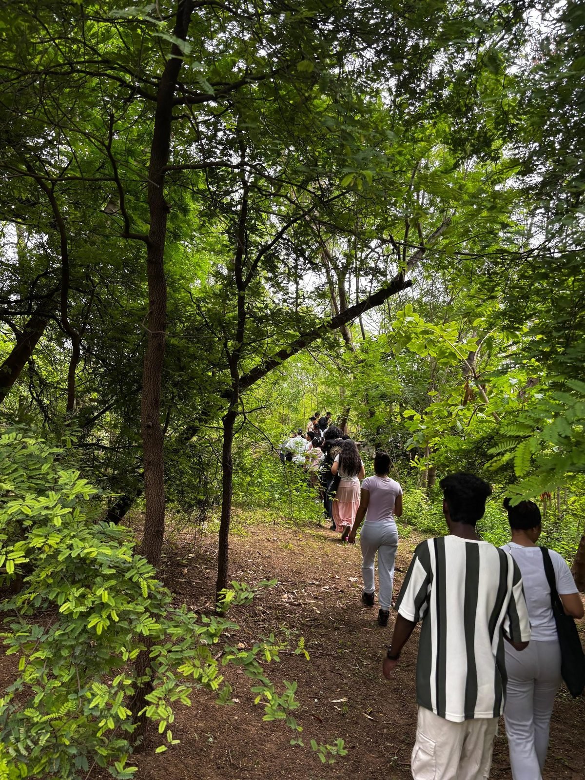 Walking the forest trail