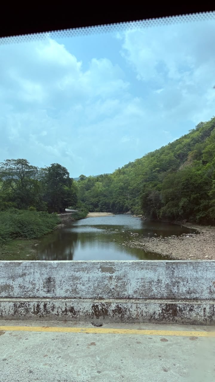 A river on the way back from Polo Forest