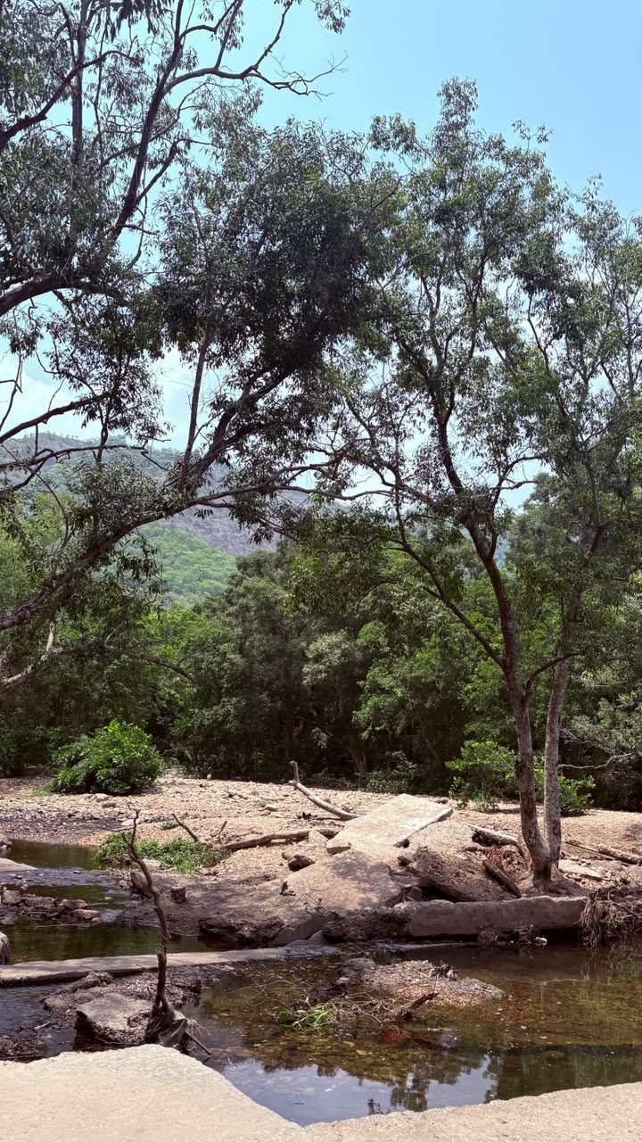 Trekking over giant rocks beneath the canopy